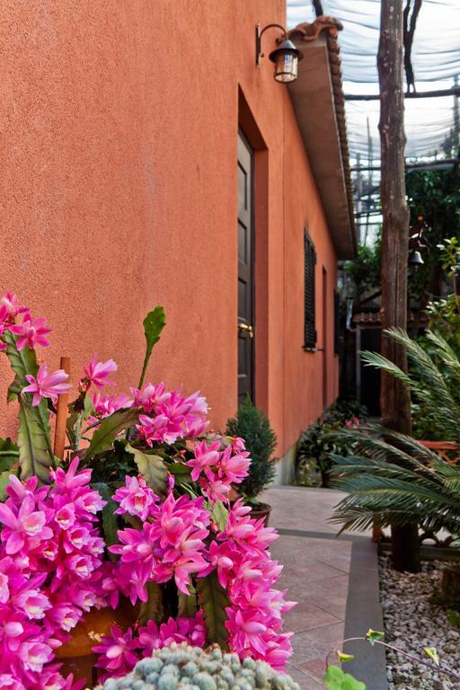 La Maison De Titty & Margherita Piano di Sorrento Exteriör bild
